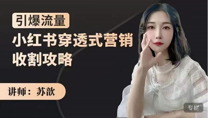 苏歆：小红书穿透式营销收割攻略，引爆流量，助你玩转小红书-辉硕副业