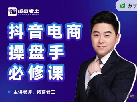 诸葛老王-抖音电商操盘手必修课：顶层设计，​起号破局，爆款运营，数据分析-辉硕副业