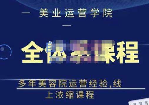 郑芳老师·网红美容院全套营销落地课程，多年美容院运营经验，线上浓缩课程-辉硕副业