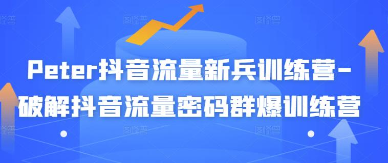 Peter抖音流量新兵训练营-破解抖音流量密码群爆训练营（新兵）-辉硕副业