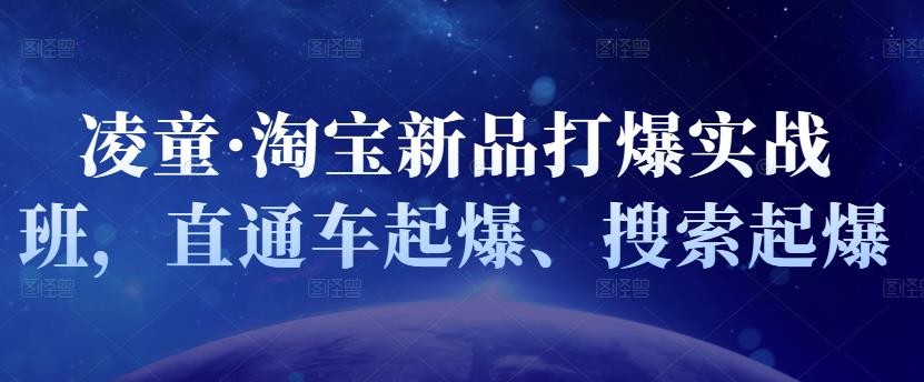 凌童·淘宝新品打爆实战班，直通车起爆、搜索起爆-辉硕副业