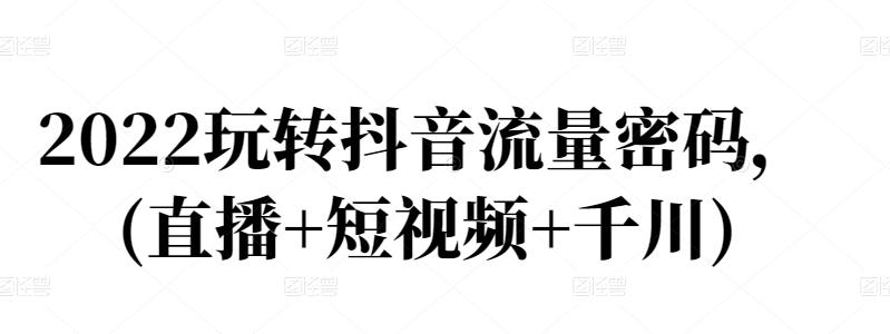 2022玩转抖音流量密码，(直播+短视频+千川)-辉硕副业
