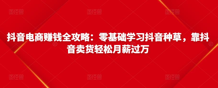 抖音电商赚钱全攻略：零基础学习抖音种草，靠抖音卖货轻松月薪过万-辉硕副业