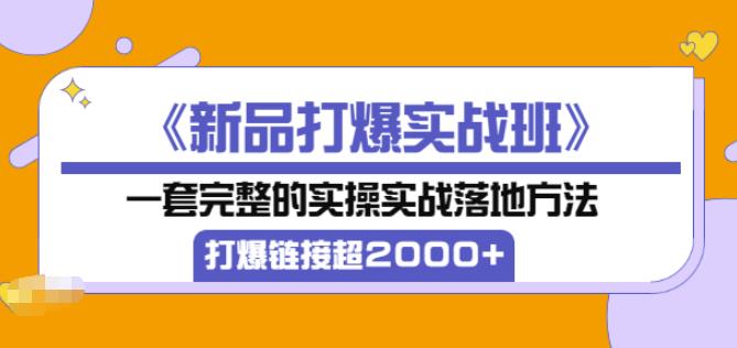 凌童《新品打爆实战班》,一套完整的实操实战落地方法，打爆链接超2000+（28节课)-辉硕副业