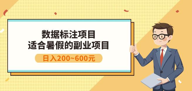 副业赚钱：人工智能数据标注项目，简单易上手，小白也能日入200+-辉硕副业