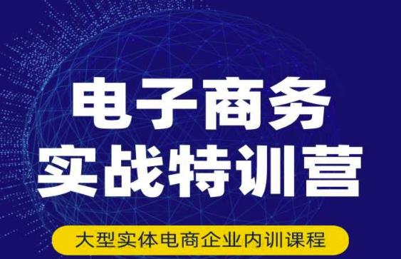 民赛电气内部出品：电子商务实战特训营，全方位带你入门电商，308种方式玩转电商-辉硕副业