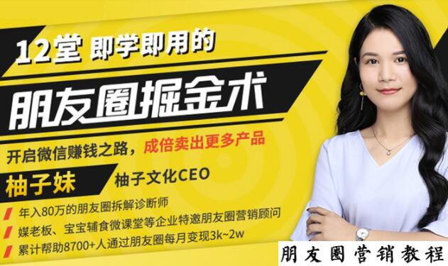 【营销必学】12堂学之即用的朋友圈掘金术：开启你的副业赚钱之路-辉硕副业