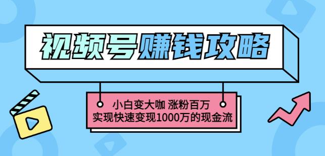 玩转微信视频号赚钱：小白变大咖涨粉百万实现快速变现1000万的现金流-辉硕副业