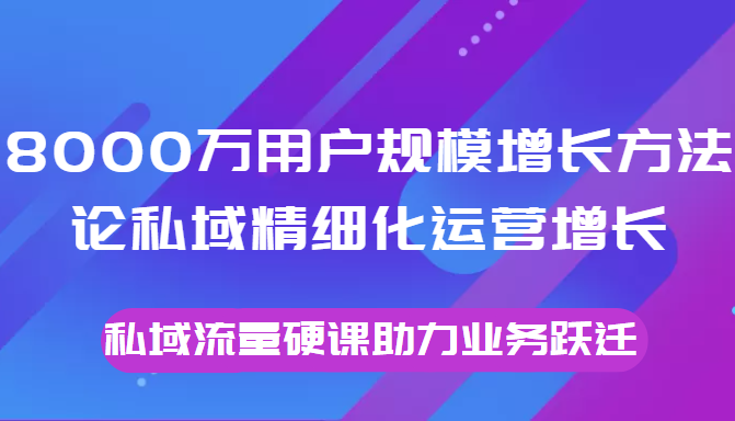 8000万用户规模增长方法论私域精细化运营增长，私域流量硬课助力业务跃迁-辉硕副业