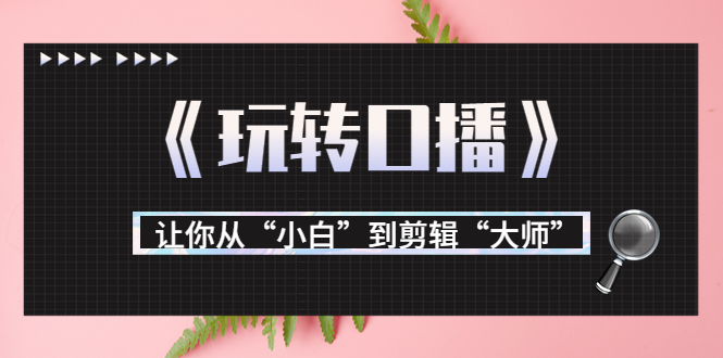 月营业额700万+大佬教您《玩转口播》让你从“小白”到剪辑“大师”-辉硕副业