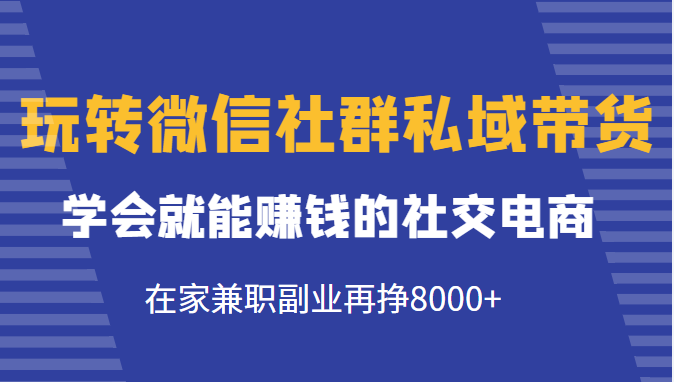 玩转微信社群私域带货，学会就能赚钱的社交电商，在家兼职副业再挣8000+-辉硕副业