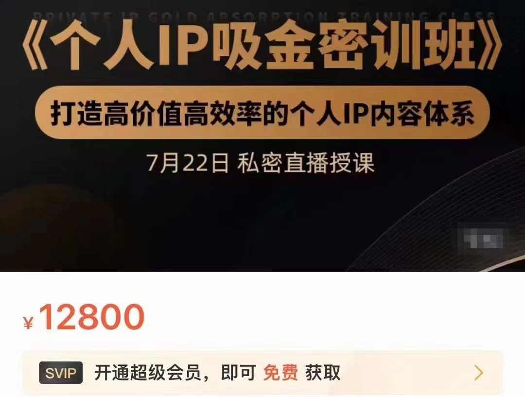 个人IP吸金密训班，打造高价值高效率的个人IP内容体系（价值12800元）-辉硕副业