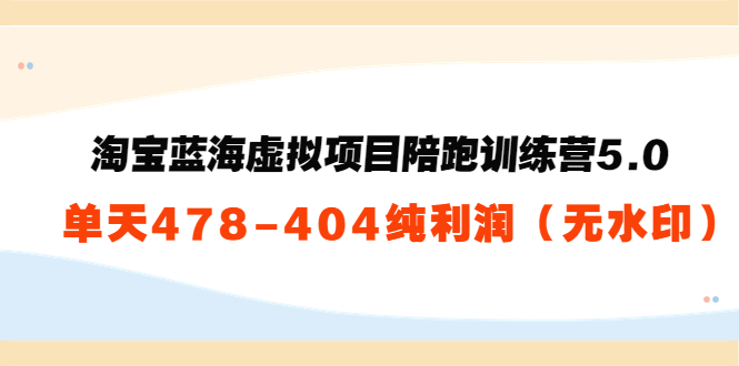 淘宝蓝海虚拟项目陪跑训练营5.0：单天478纯利润-辉硕副业