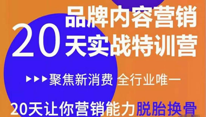 《内容营销实操特训营》20天让你营销能力脱胎换骨（价值3999）-辉硕副业