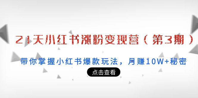 21天小红书涨粉变现营（第3期）：带你掌握小红书爆款玩法，月赚10W+秘密-辉硕副业