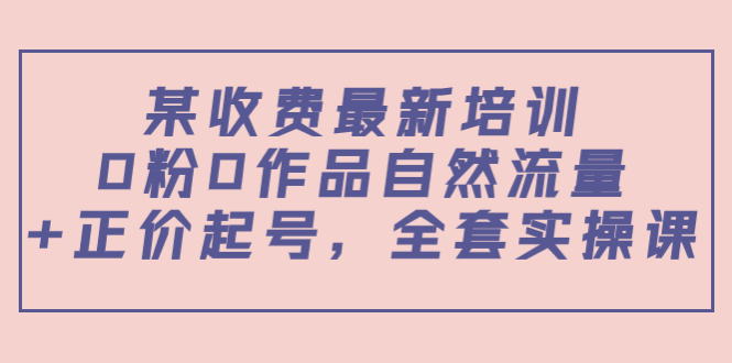 某最新收费培训内容：0粉0作品自然流量+正价起号，全套实操课-辉硕副业