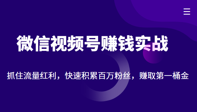微信视频号赚钱实战：抓住流量红利，快速积累百万粉丝，赚取你的第一桶金-辉硕副业