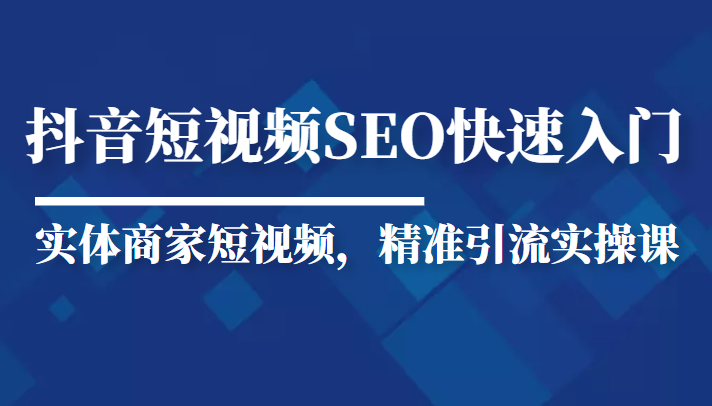 抖音短视频Seo搜索排名优化新手快速入门教程，实体商家短视频，精准引流实操课-辉硕副业