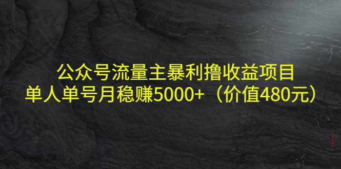 公众号流量主暴利撸收益项目，单人单号月稳赚5000+（价值480元）-辉硕副业