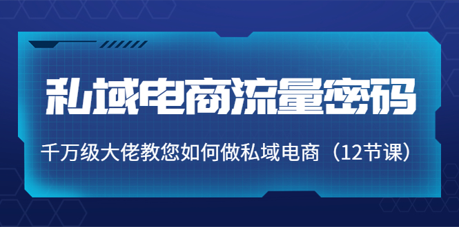 私域电商流量密码：千万级大佬教您如何做私域电商（12节课）-辉硕副业