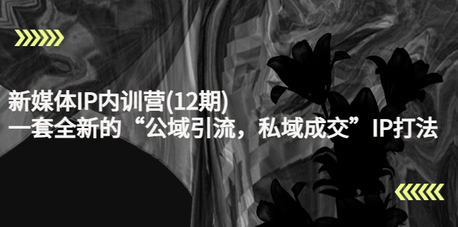 新媒体IP内训营(12期)，一套全新的“公域引流，私域成交”IP打法，直接带走-辉硕副业