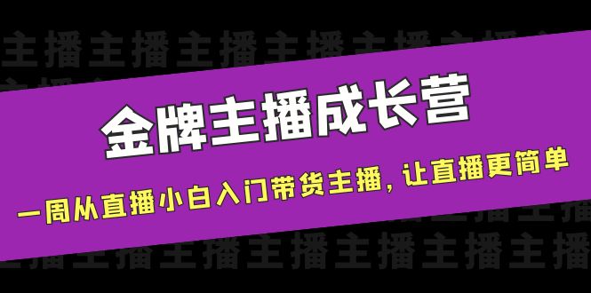 金牌主播成长营，一周从直播小白入门带货主播，让直播更简单-辉硕副业
