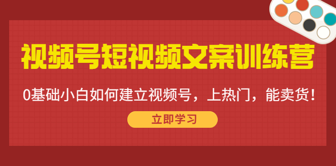 视频号短视频文案训练营：0基础小白如何建立视频号，上热门，能卖货！-辉硕副业