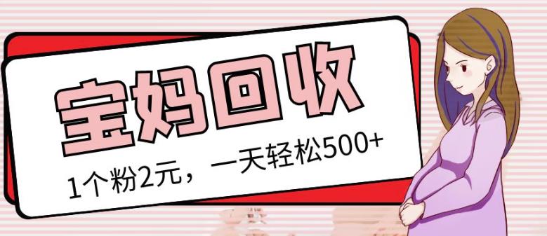 最新小红书母婴号宝妈粉回收项目，1个粉2元，一天轻松500+案例分享【粉丝包回收】-辉硕副业