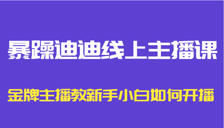 暴躁迪迪线上主播课，金牌主播教新手小白如何开播-辉硕副业