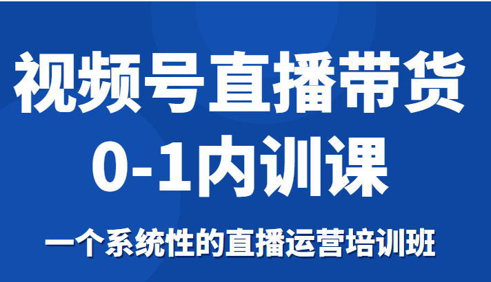 视频号直播带货0-1内训课，一个系统性的直播运营培训班-辉硕副业