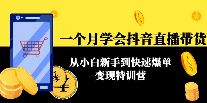 一个月学会抖音直播带货：从小白新手到快速爆单变现特训营(63节课)-辉硕副业