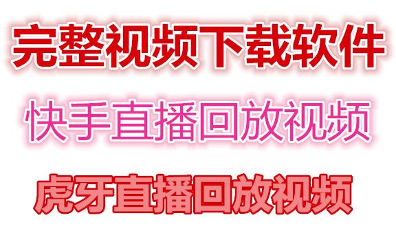 快手直播回放视频/虎牙直播回放视频完整下载(电脑软件+视频教程)-辉硕副业