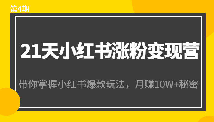 21天小红书涨粉变现营（第4期）：带你掌握小红书爆款玩法，月赚10W+秘密-辉硕副业