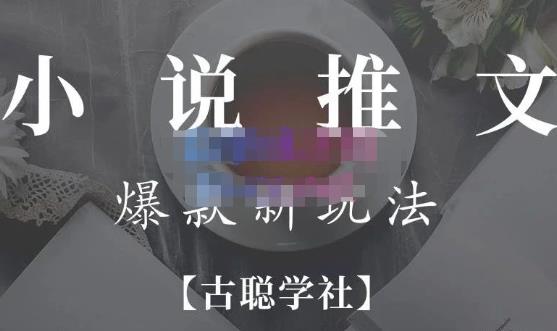 小说推文矩阵号群爆单新玩法，引流技巧+爆款实操+矩阵号玩法，百倍效益、百万播放秘笈-辉硕副业