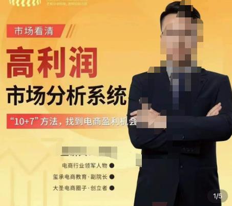 市场看清·高利润市场分析系统-10+7找到电商盈利机会-辉硕副业