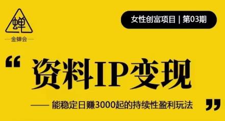 资料IP变现，能稳定日赚3000起的持续性盈利玩法-辉硕副业