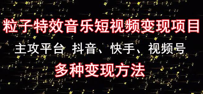 黄岛主《粒子特效音乐短视频变现项目》主攻平台抖音、快手、视频号多种变现方法-辉硕副业
