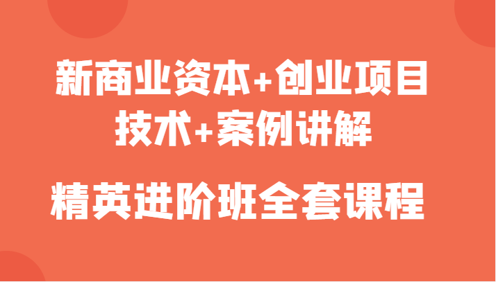 新商业资本+创业项目，技术+案例讲解，精英进阶班全套课程-辉硕副业