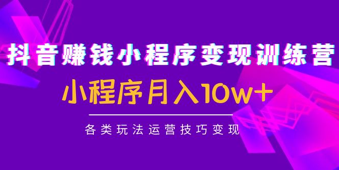 抖音赚钱小程序变现训练营：小程序月入10w+各类玩法运营技巧变现-辉硕副业