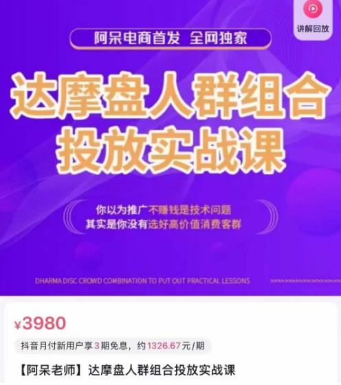 阿呆电商·达摩盘人群组合投放实战课，你以为推广不赚钱是技术问题，其实是你没有选好高价值消费客群-辉硕副业