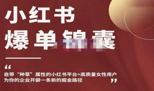 小红书爆单锦囊，自带种草属性+高质量女性用户，为你的企业开辟一条新的掘金路径-辉硕副业