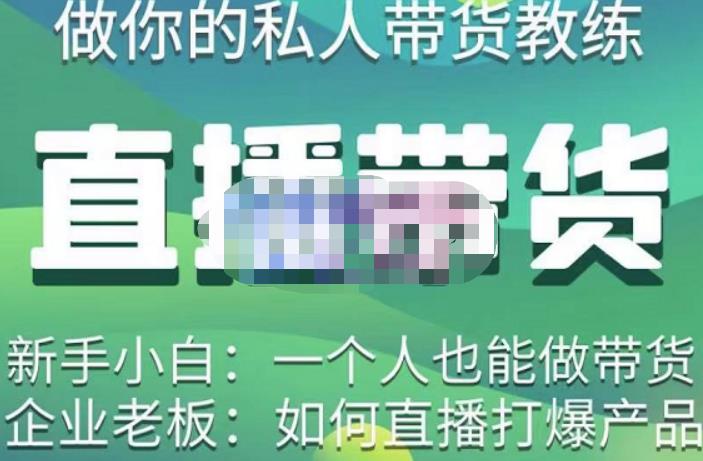 硬核传媒·直播带货（私人教练），实操实战教学，通俗易懂，学完后新手小白一个人也能做带货-辉硕副业