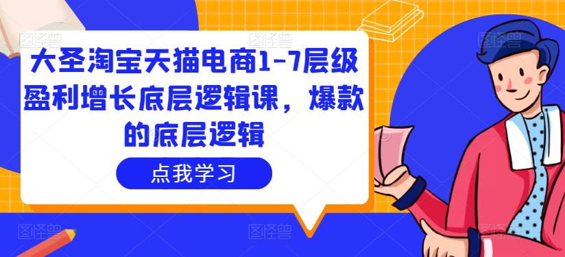 大圣淘宝天猫电商1-7层级盈利增长底层逻辑课，爆款的底层逻辑-辉硕副业