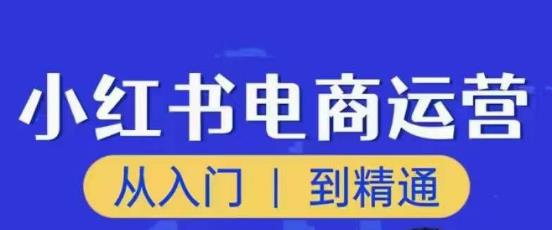 顽石小红书电商高阶运营课程，从入门到精通，玩法流程持续更新-辉硕副业