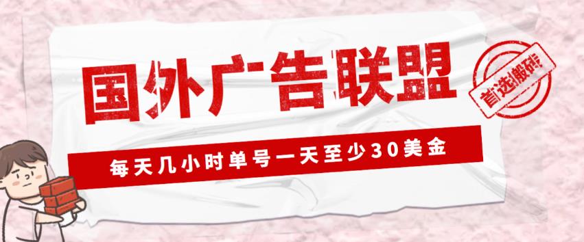外面收费1980的最新国外LEAD广告联盟搬砖项目，单号一天至少30美金【详细玩法教程】-辉硕副业