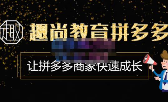 趣尚教育·拼多多运营实操VIP特训营，让拼多多商家快速成长-价值3180元-辉硕副业