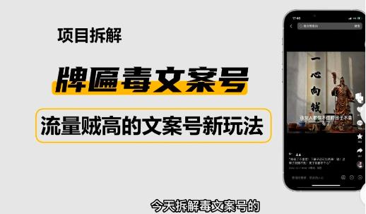 2023抖音快手毒文案新玩法，牌匾文案号，起号快易变现-辉硕副业