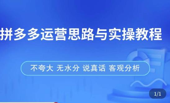 拼多多店铺运营思路与实操教程，快速学会拼多多开店和运营，少踩坑，多盈利-辉硕副业