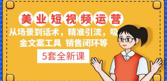 5套·美业短视频运营课从场景到话术·精准引流·吸金文案工具·销售闭环等-辉硕副业