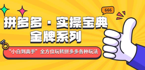 拼多多·实操宝典：金牌系列“小白到高手”带你全方位玩转拼多多各种玩法-辉硕副业